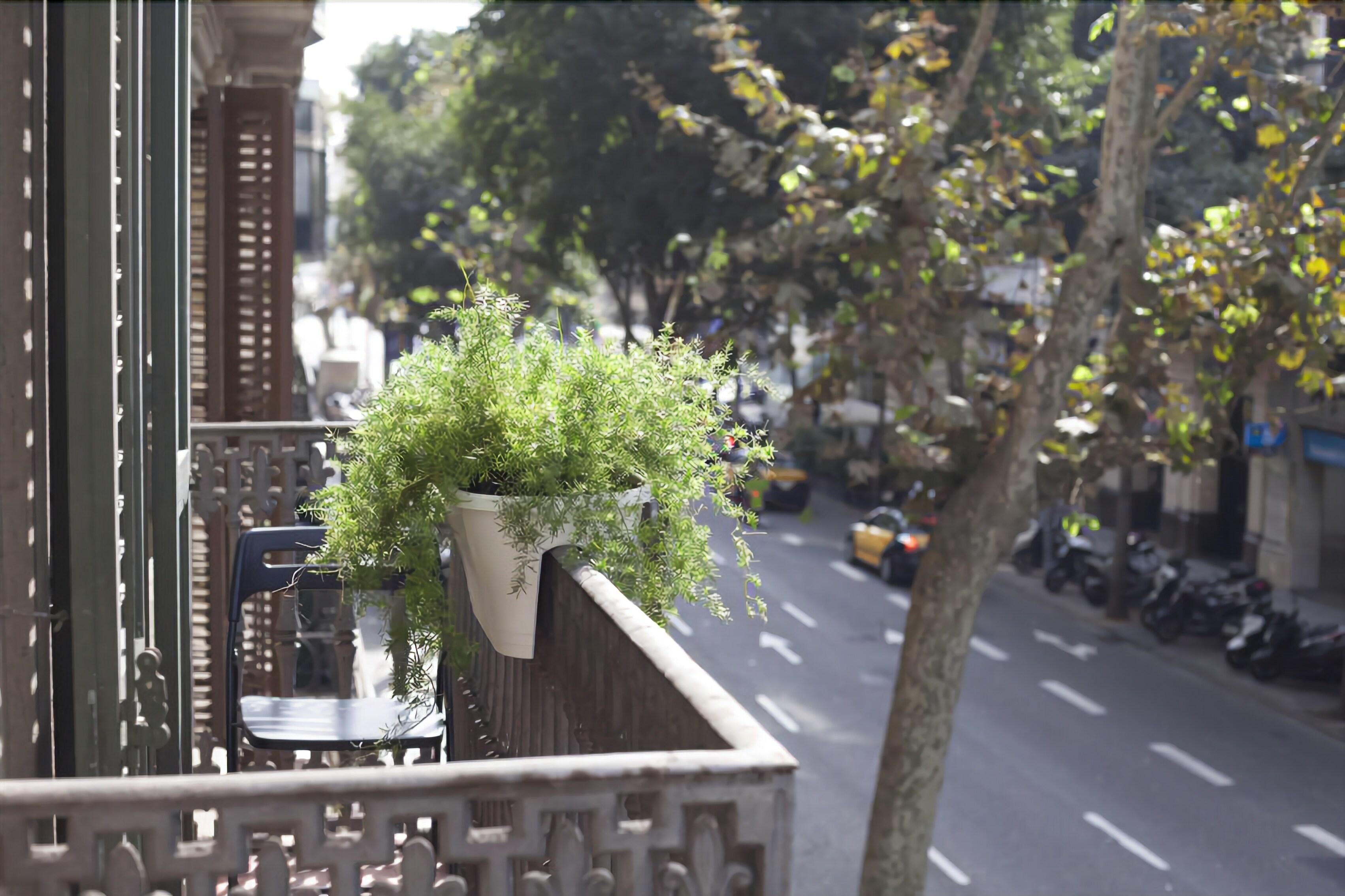 Amra Barcelona Caspe, Barcelona